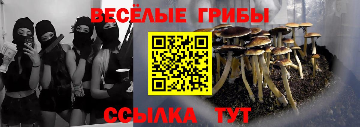 Сарапул  Псилоцибиновые грибы мухоморы  Вход с VPN 